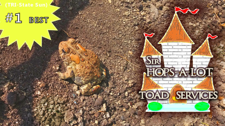 toad
