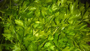 parsley_2018