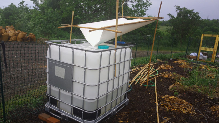 Rain Catcher 2020