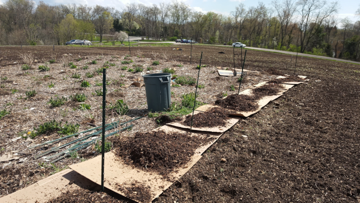 IMG_20210411_141334_1